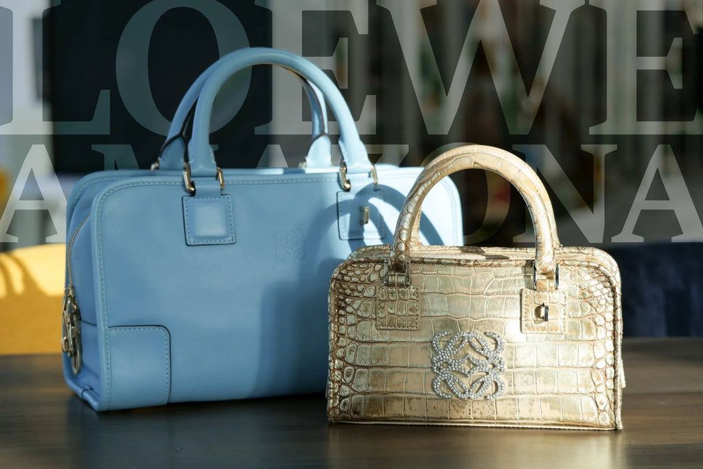 Unleashing the Hidden Charm of the Loewe Amazona - PURPOSE