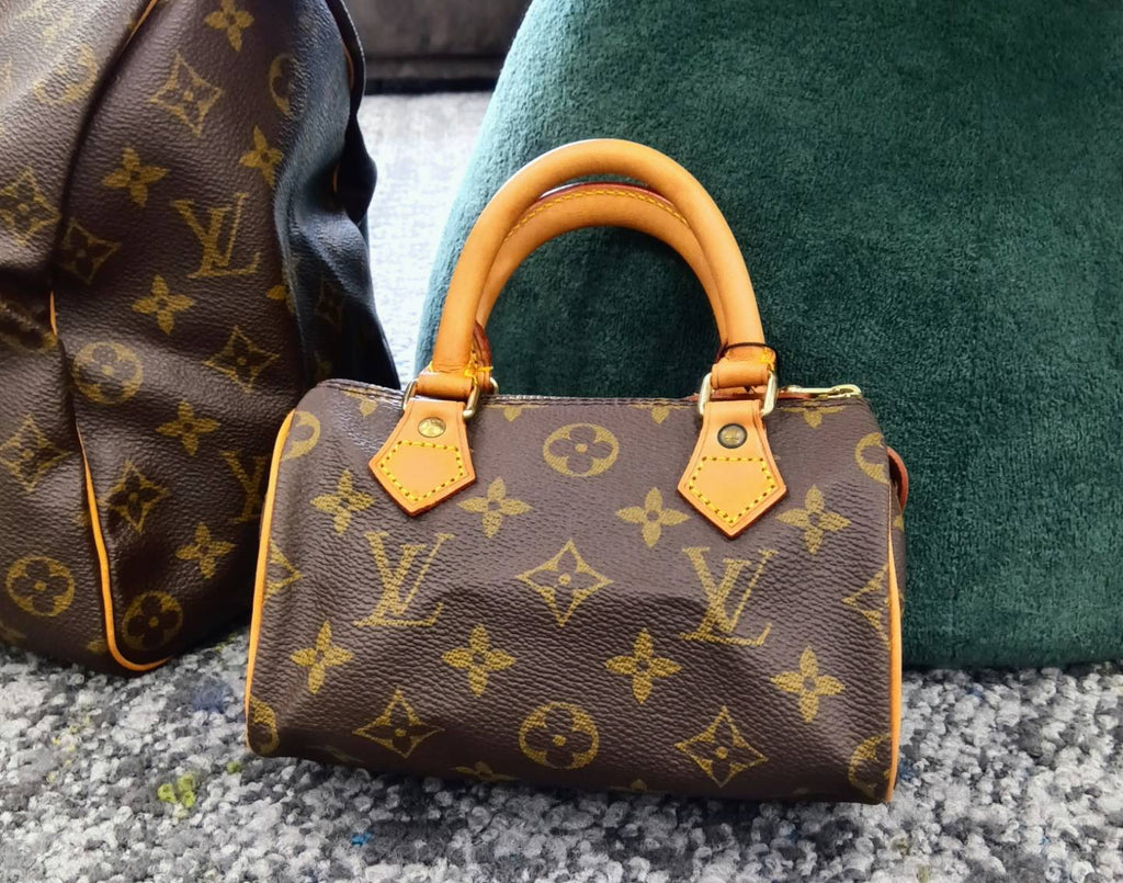 Too Cute! The Louis Vuitton Mini Speedy Guide