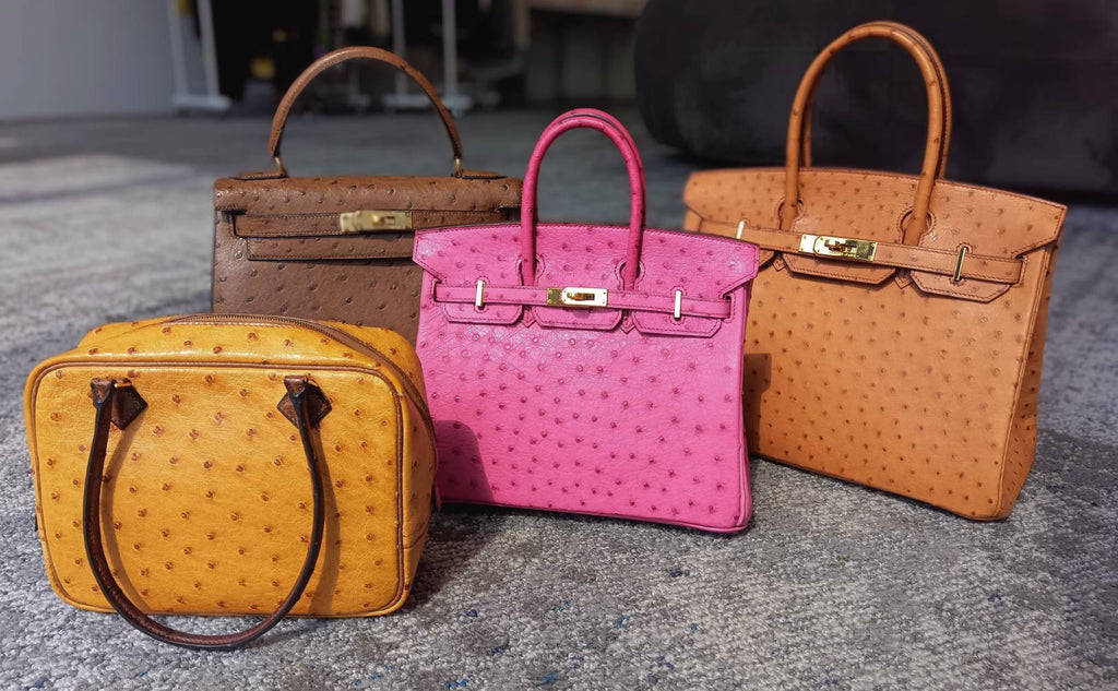 The Art of Exotic Luxury: Elevating Everyday Outfits with Hermès Ostrich