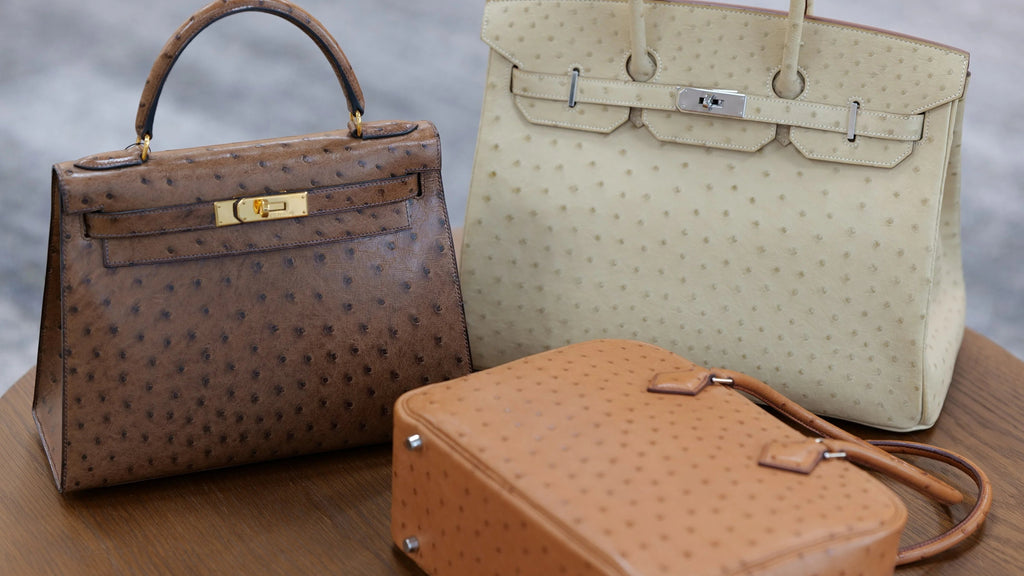 Discover the Chicest Hermès Ostrich Bags of the Season - PURPOSE