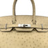 HERMES BIRKIN 30 PARCHEMIN OSTRICH HAND BAG X PALLADIUM HARDWARE 90283596 - PURPOSE