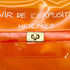 HERMES VINYL KELLY SOUVENIR DE L' EXPOSITION 1997 ORANGE HAND BAG 90294537 - PURPOSE