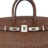 HERMES BIRKIN 30 ETRUSQUE OSTRICH HAND BAG □L SHW 90298145 - PURPOSE