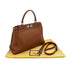 FENDI PEEKABOO REGULAR HAND SHOULDER BAG LEATHER BROWN 8BN226 90298740