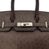 HERMES BIRKIN 30 BROWN OSTRICH HAND BAG □N SHW 90300555 - PURPOSE