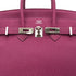 HERMES BIRKIN 25 TOSCA TOGO HAND BAG □O SHW 90301018 - PURPOSE