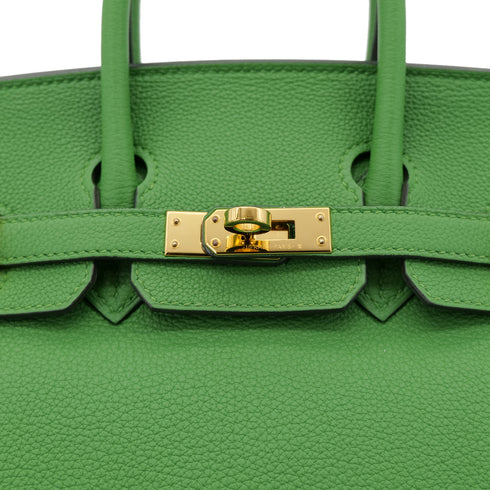 HERMES BIRKIN 25 VERT YUCCA TOGO HAND BAG B GOLD HARDWARE 90302884 - PURPOSE