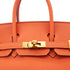 HERMES BIRKIN 25 FEU ORANGE TOGO HAND BAG T GHW 90304101 - PURPOSE