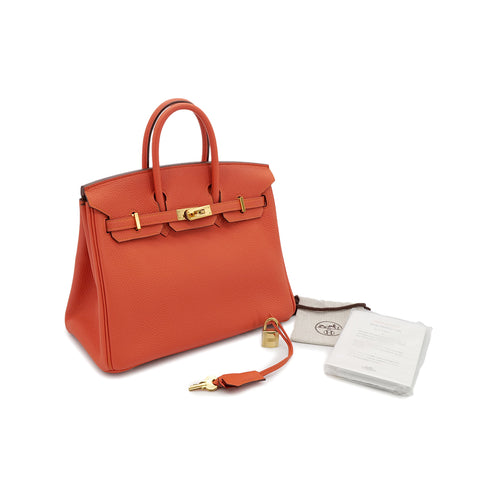 HERMES BIRKIN 25 FEU ORANGE TOGO HAND BAG T GHW 90304101 - PURPOSE