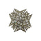 CHANEL COCOMARK RHINESTONE BROOCH SILVER ACCESSORY 05V 90331683