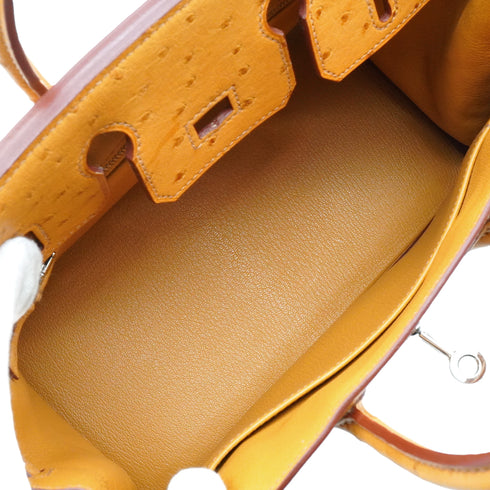 HERMES BIRKIN 25 CHESTNUT OSTRICH HAND BAG 2013 SQUARE Q PALLADIUM HARDWARE 90351837