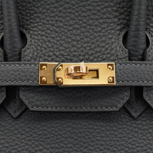 HERMES BIRKIN 25 GRIS MISTY TOGO HAND BAG 2024 W STAMP PERMABRASS GOLD HARDWARE 90335781