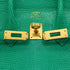 HERMES BIRKIN 25 MENTHE LIZARD HAND BAG 2023 B STAMP GOLD HARDWARE 90351050
