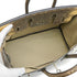 HERMES BIRKIN 25 OMBRE LIZARD NATURA 2010 SQUARE N PALLADIUM HARDWARE 90346644