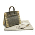 HERMES BIRKIN 25 OMBRE LIZARD NATURA 2010 SQUARE N PALLADIUM HARDWARE 90346644