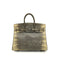 HERMES BIRKIN 25 OMBRE LIZARD NATURA 2010 SQUARE N PALLADIUM HARDWARE 90346644