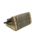 HERMES BIRKIN 25 OMBRE LIZARD NATURA 2010 SQUARE N PALLADIUM HARDWARE 90346644