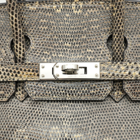 HERMES BIRKIN 25 OMBRE LIZARD NATURA 2010 SQUARE N PALLADIUM HARDWARE 90346644