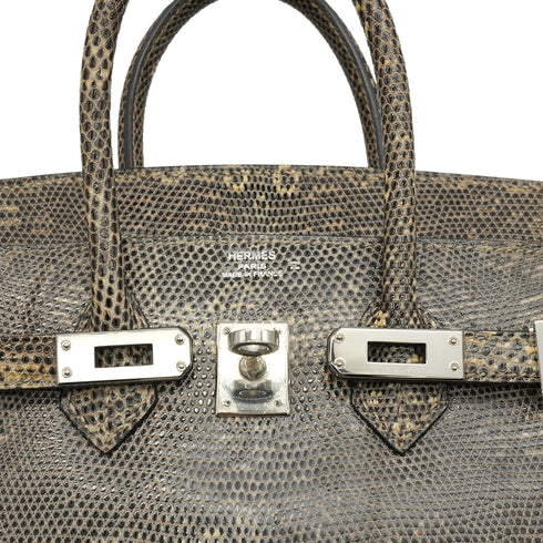 HERMES BIRKIN 25 OMBRE LIZARD NATURA 2010 SQUARE N PALLADIUM HARDWARE 90346644