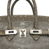 HERMES BIRKIN 25 OMBRE LIZARD NATURA 2010 SQUARE N PALLADIUM HARDWARE 90346644