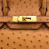 HERMES BIRKIN 30 CHESTNUT OSTRICH HAND BAG 2006 SQUARE J GOLD HARDWARE 90325611