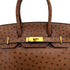 HERMES BIRKIN 30 CHESTNUT OSTRICH HAND BAG 2005 SQUARE I GOLD HARDWARE 90323975