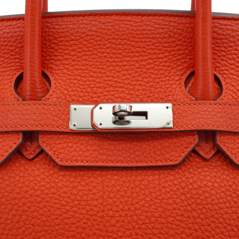 HERMES BIRKIN 35 CAPUCINE TOGO HAND BAG 2012 SQUARE P PALLADIUM HARDWARE 90328709