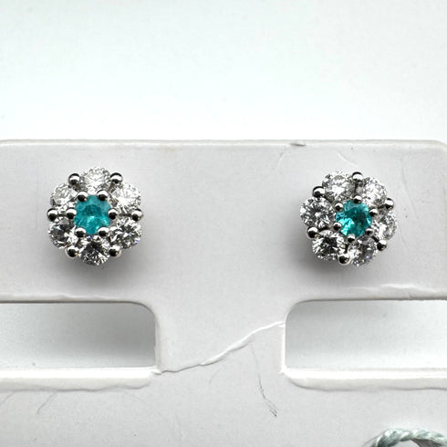 Pt900/Pt950 Paraiba Earrings PRB0.1 D0.36 50160