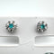 Pt900/Pt950 Paraiba Earrings PRB0.1 D0.36 50160
