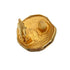 VINTAGE CHANEL EARRINGS LION LOGO GOLD ACCESSORY 23 90321091