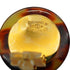 VINTAGE CHANEL EARRINGS TORTOISESHELL COCOMARK ROUND ACCESSORY 97P 90338765